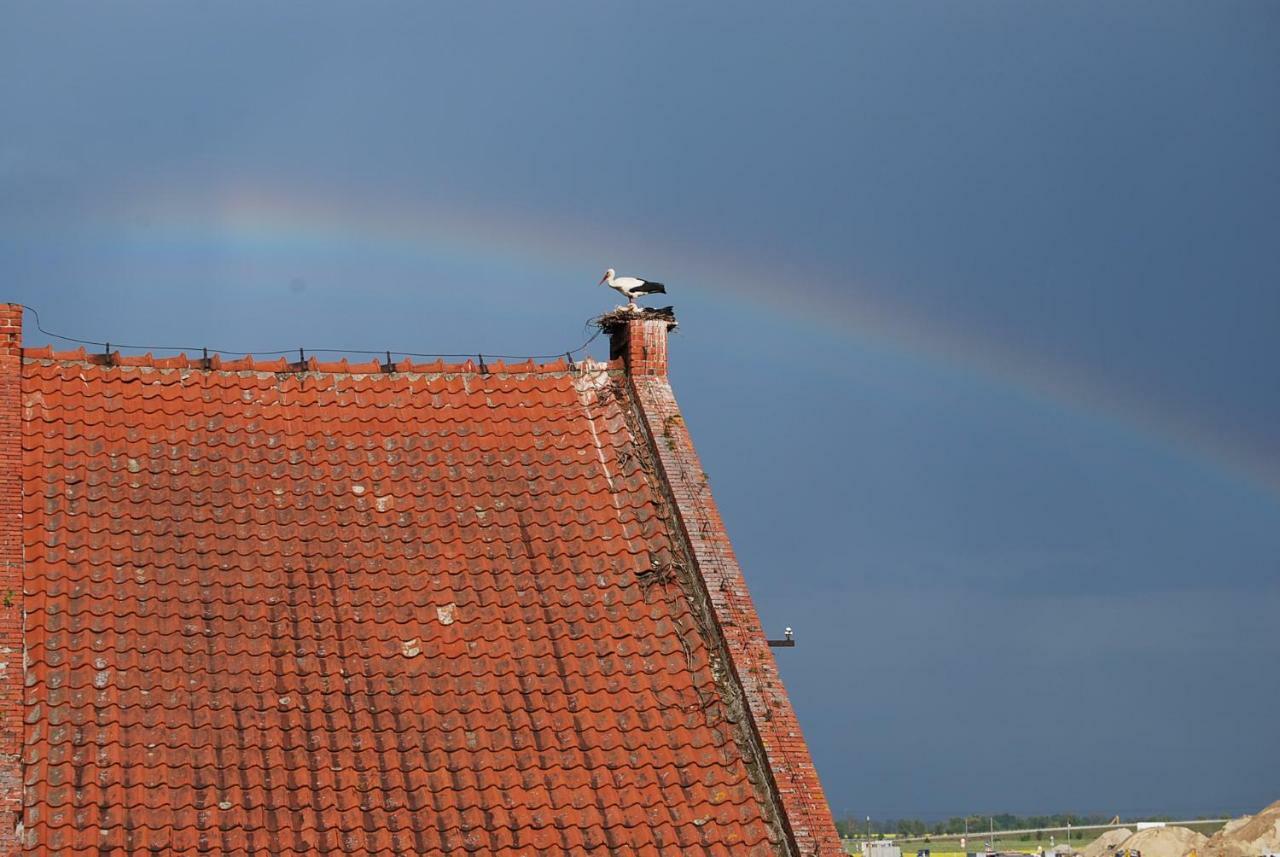 Vila Ranczo Ryki Nowy Dwór Gdański Exteriér fotografie